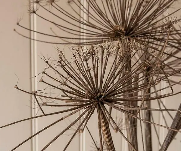 De Kleine Vesting Appartement